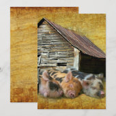 3匹の小さな豚が納屋で雪素朴を眺めている サンキューカード (正面/裏面)