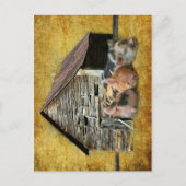 3匹の小さな豚が納屋で雪素朴を眺めている ポストカード (正面)