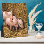 3匹の小さな豚 フォトプラーク (側面)