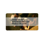 3匹の小さな豚 ラベル (正面)