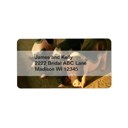 3匹の小さな豚 ラベル (正面)