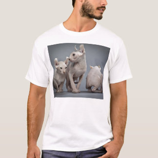 3匹の毛のない猫 Tシャツ