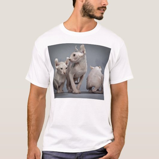3匹の毛のない猫 Tシャツ (正面)