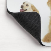 3匹の犬がカメラを見ている マウスパッド (コーナー)