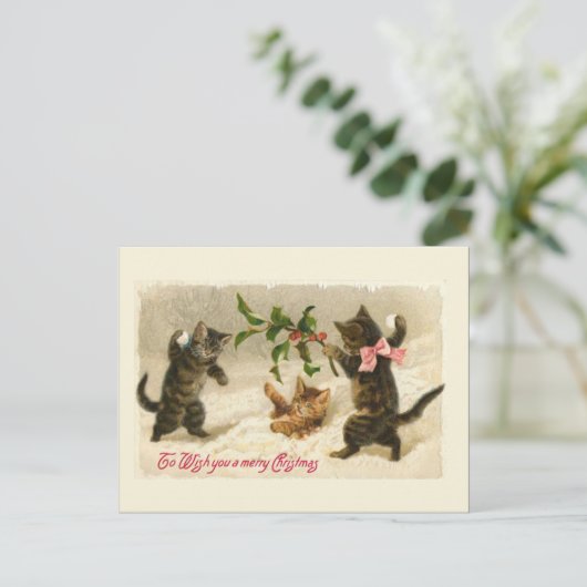 3匹の猫とヒイラギの枝 シーズンポストカード (スタンド正面)