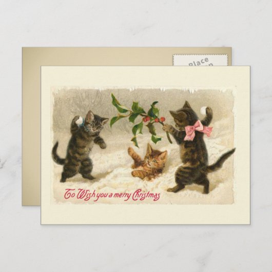 3匹の猫とヒイラギの枝 シーズンポストカード (正面/裏面)