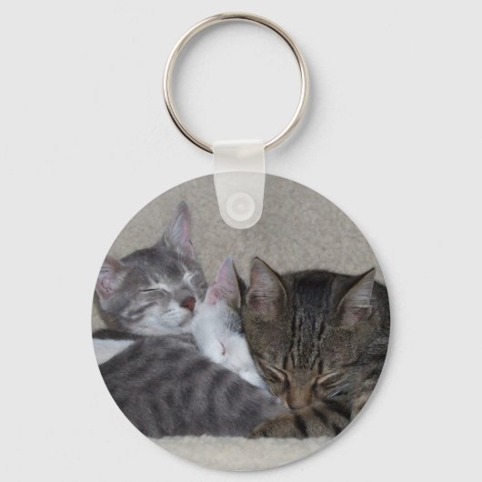 3匹の猫のキーチェーン キーホルダー (正面)