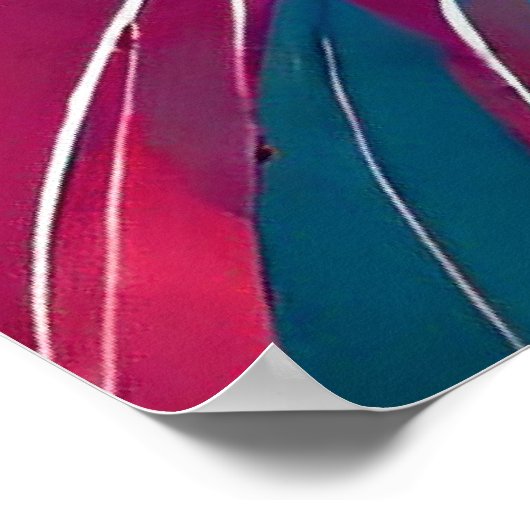 3匹の猫のポスカラフルター ポスター (角)