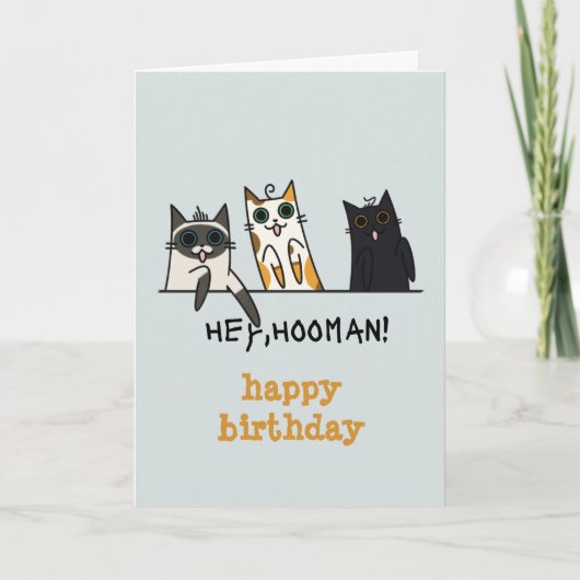 3匹の猫ヘイホオマンおもしろい誕生日 カード (正面)