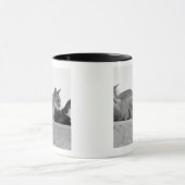 3匹の猫 マグカップ (中央)