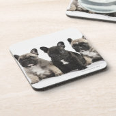 3匹の純種の子犬 コースター (左側)