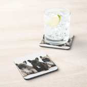 3匹の純種の子犬 コースター (右側)