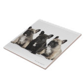 3匹の純種の子犬 タイル (側面)