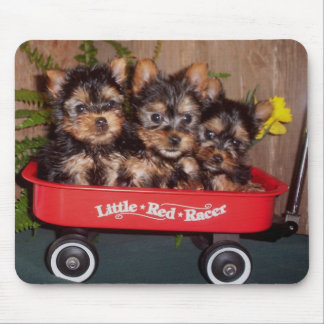3匹の膚触りがよいテリアの子犬 マウスパッド