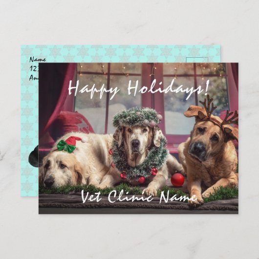 3匹の良い犬と獣医のクリスマス ポストカード (正面/裏面)