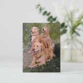 3匹の金生成 ポストカード (スタンド正面)