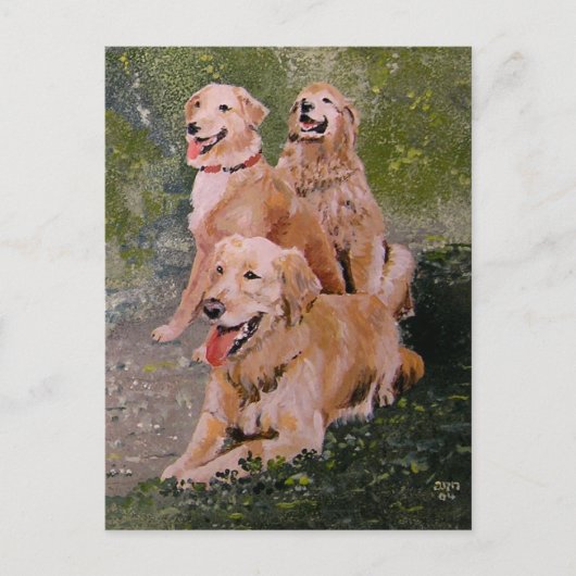 3匹の金生成 ポストカード (正面)