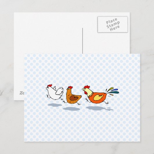 3匹の雛 ポストカード (正面/裏面)