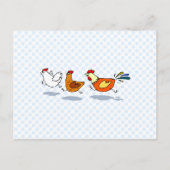 3匹の雛 ポストカード (正面)