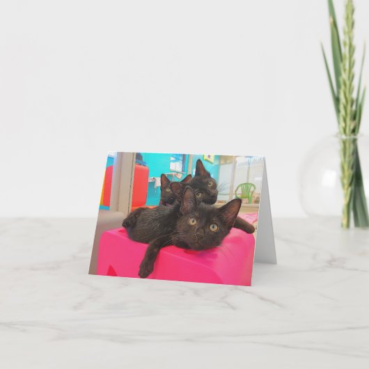 3匹の黒い子ネコ カード (正面)