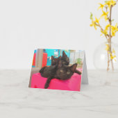 3匹の黒い子ネコ カード (黄色い花)