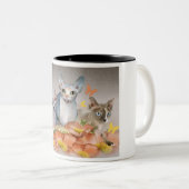 3匹のsphynxの子ネコのマグ ツートーンマグカップ (正面右)