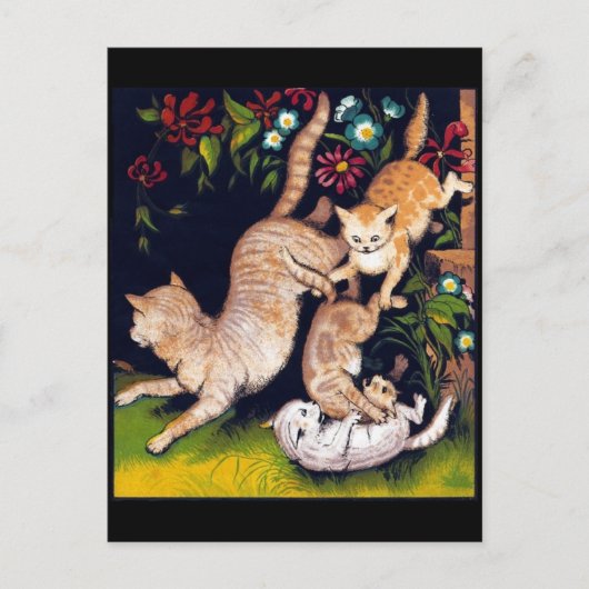 3匹よくはしゃぐ猫 ポストカード (正面)