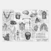 3医療用体ハロウィンコラージエフエメラシート ラッピングペーパーシート (正面3)