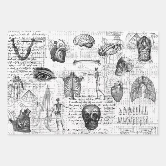 3医療用体ハロウィンコラージエフエメラシート ラッピングペーパーシート (正面3)