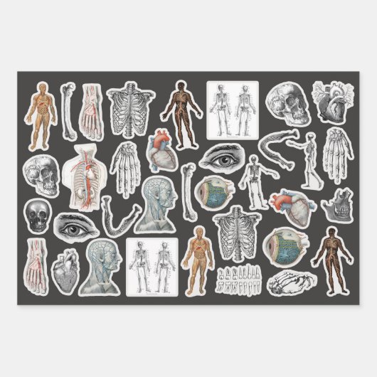 3医療用体ハロウィンコラージエフエメラシート ラッピングペーパーシート (正面2)