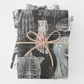 3医療用体ハロウィンコラージエフエメラシート ラッピングペーパーシート (インサイチュ)