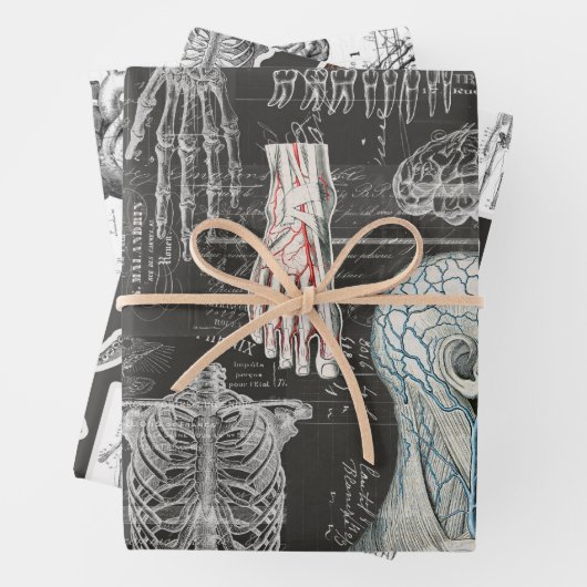 3医療用体ハロウィンコラージエフエメラシート ラッピングペーパーシート (インサイチュ)