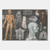 3医療用体ハロウィンコラージエフエメラシート ラッピングペーパーシート (正面)