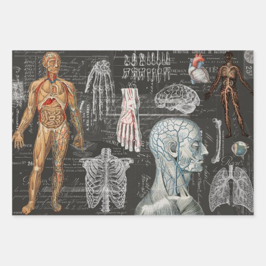 3医療用体ハロウィンコラージエフエメラシート ラッピングペーパーシート (正面)