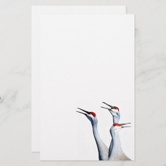 3台のサンドヒルクレーン写真文房具紙 便箋 (正面/裏面)