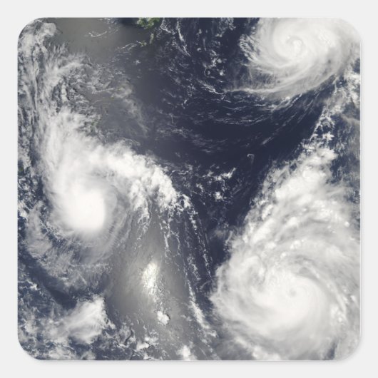 3台の違う台風 スクエアシール (正面)