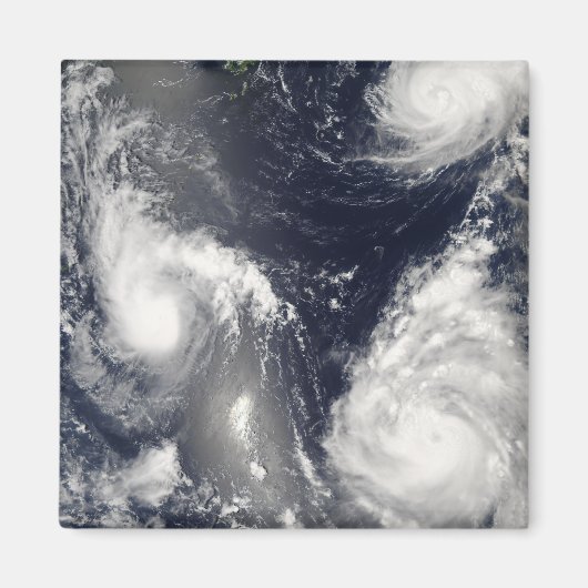 3台の違う台風 マグネット (正面)
