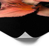 3女 ポスター (角)