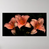 3女 ポスター (正面)