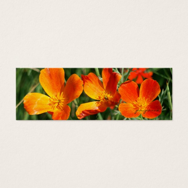 3姉妹ブックマーク (正面)