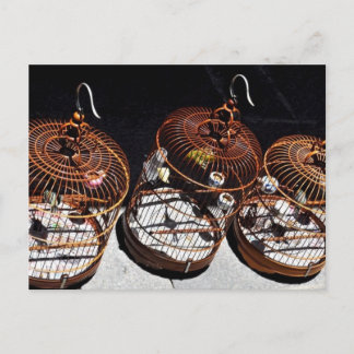 3小鳥中国葉書 ポストカード