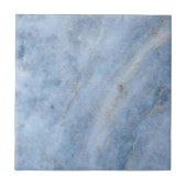 3懸命中3位が水色の石瓦フェイクを発見 タイル (正面)