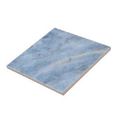 3懸命中3位が水色の石瓦フェイクを発見 タイル (側面)