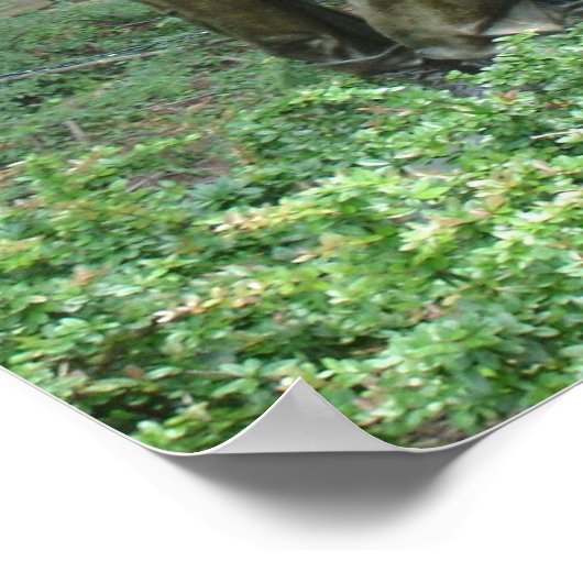 3戦闘員ポスター ポスター (角)