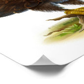 3描写D水絵を描色のタカ ポスター (角)