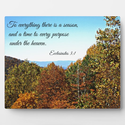 3時1分のエクスクレシエストが、季節のある全てに… フォトプラーク (正面)