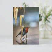 3最高の.5インチx 5インチフラットサンキューカード サンキューカード (スタンド正面)