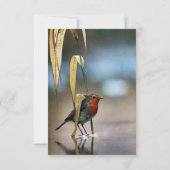 3最高の.5インチx 5インチフラットサンキューカード サンキューカード (裏面)