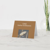 3月のノートカードのcattail シーズンカード (裏面)