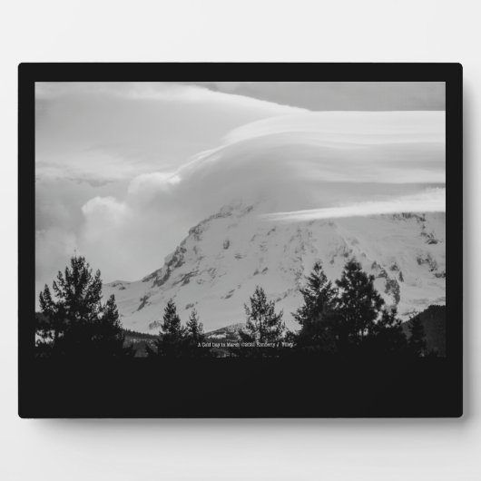 3月の寒い日 フォトプラーク (正面)